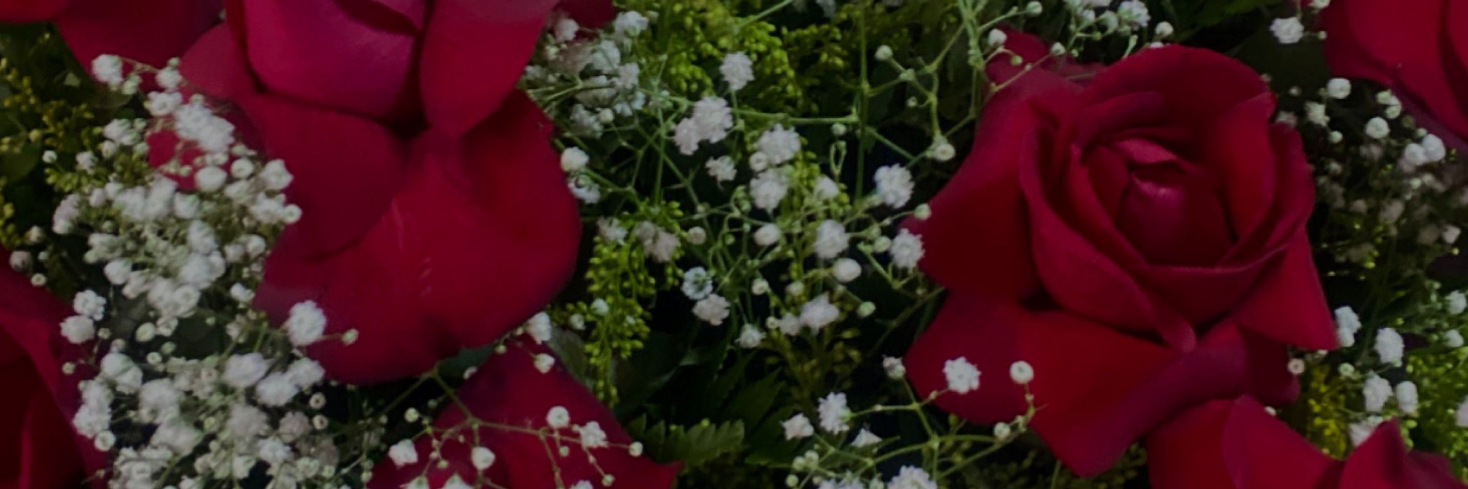 𝓑'