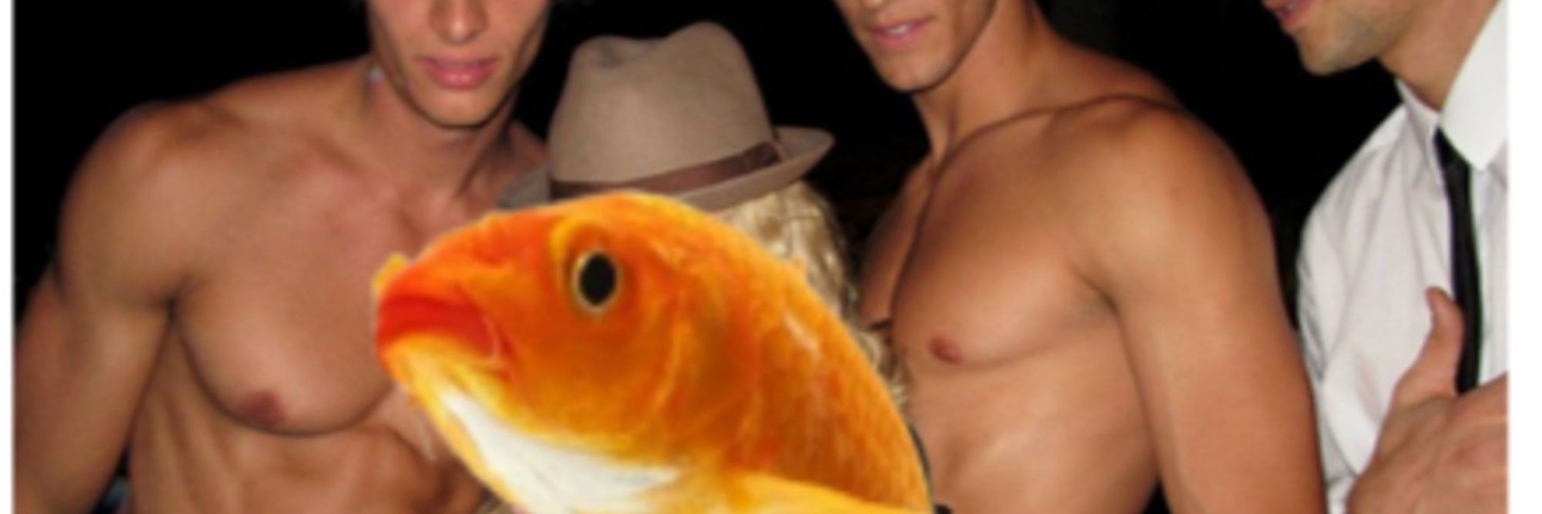 acervo peixe dourado da silva (famoso)