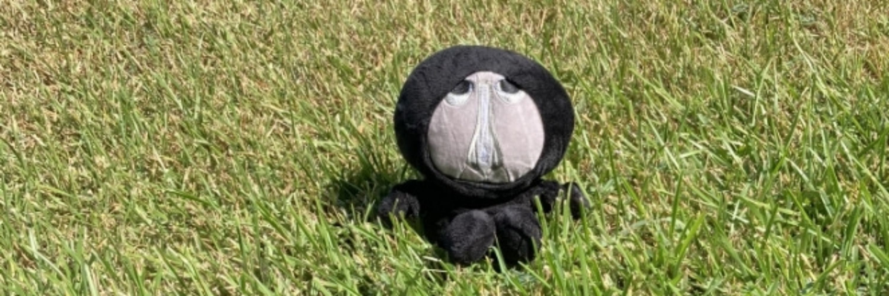 tobi/mars