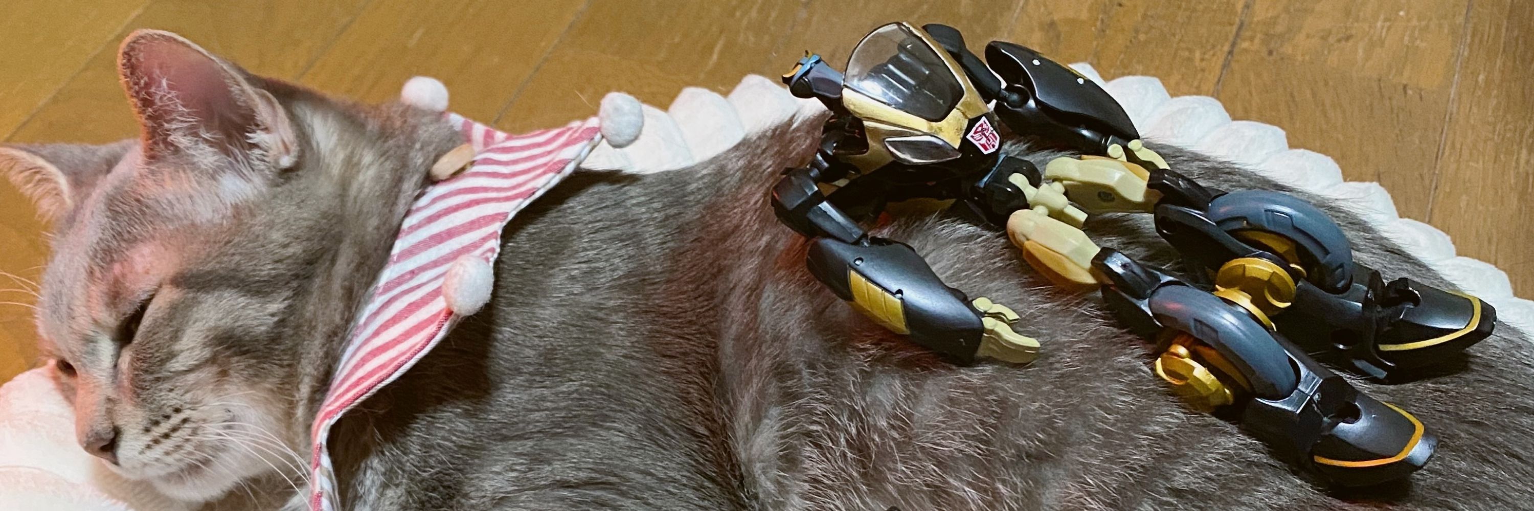 あんみん