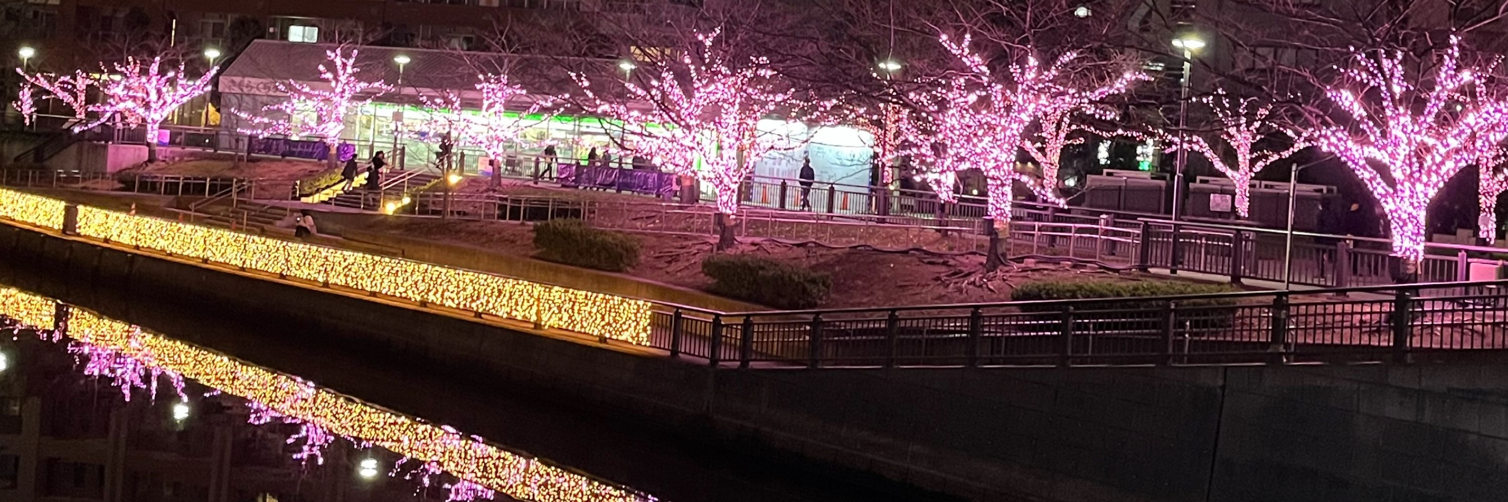 桃咲あんず