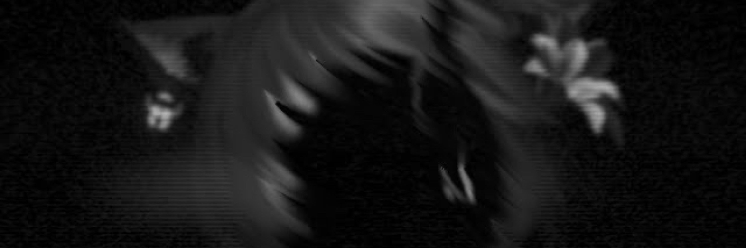Squall