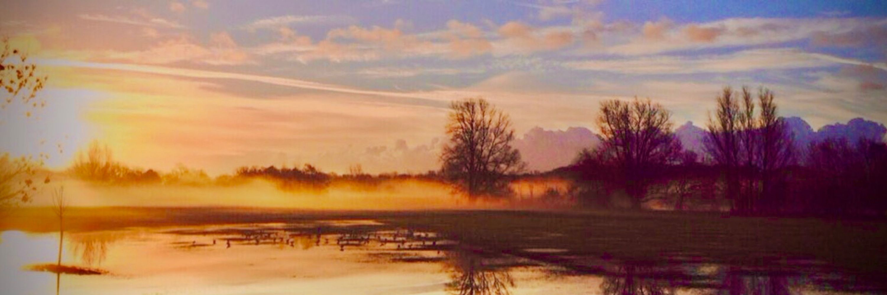 Andy Jolley