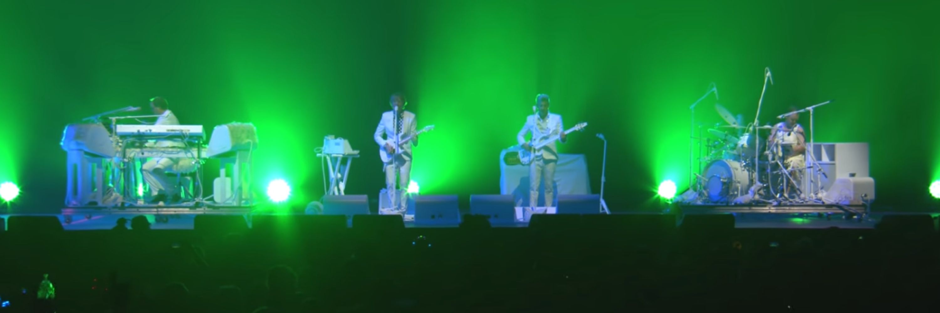 LynnLizards