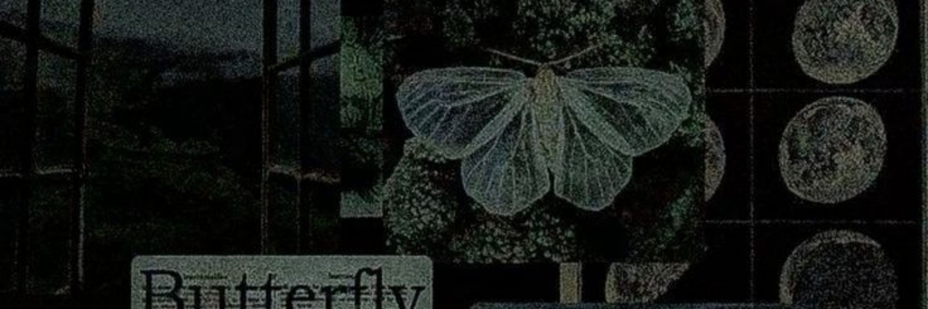 mortem timeo 死が怖いです
