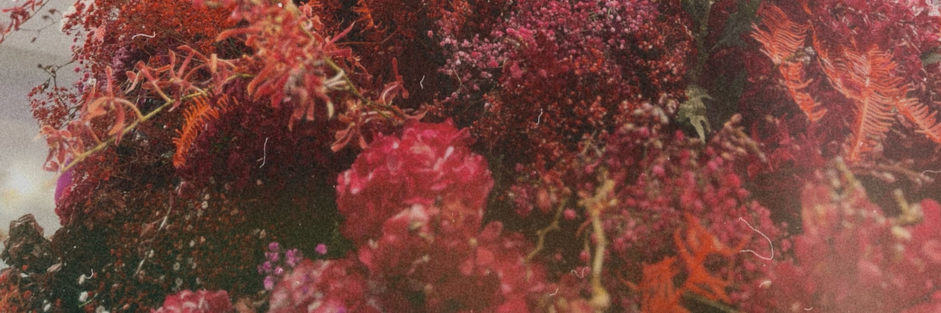 Erin M Weldon