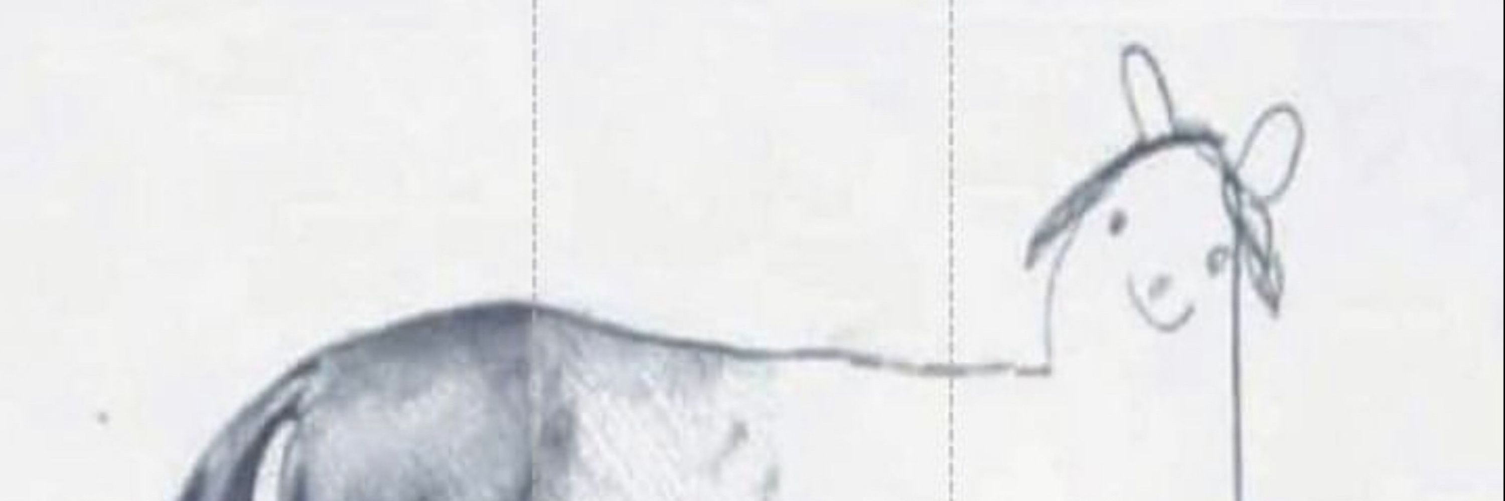 martinaweber