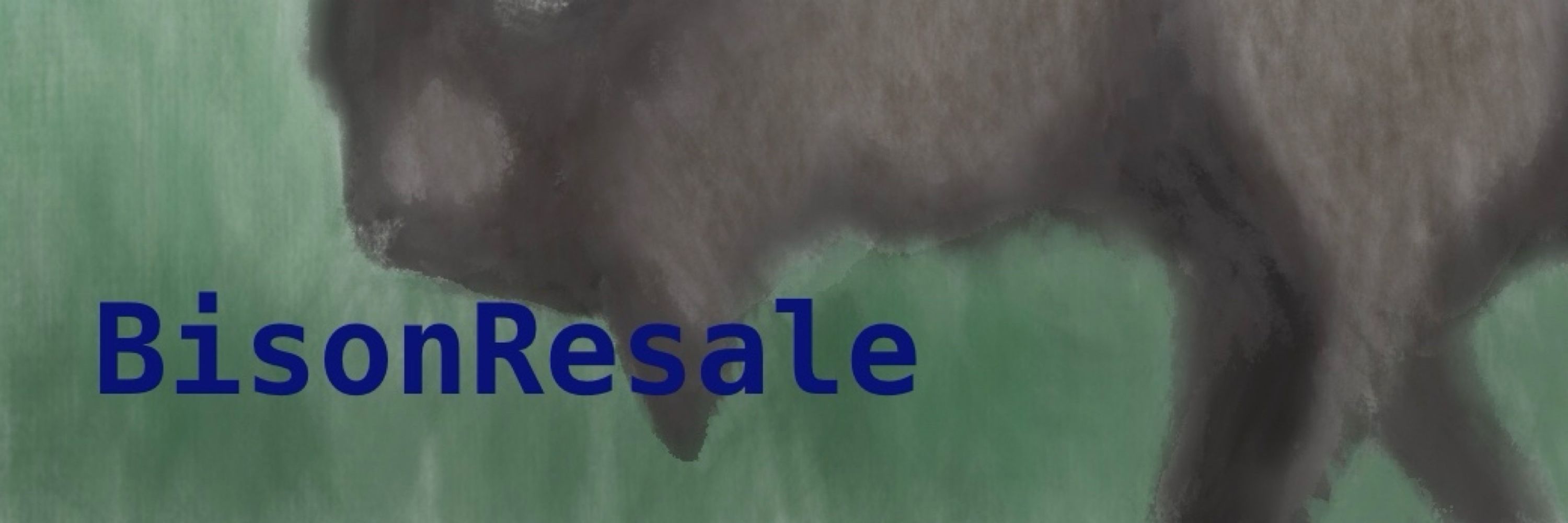 eBay Bison Resale