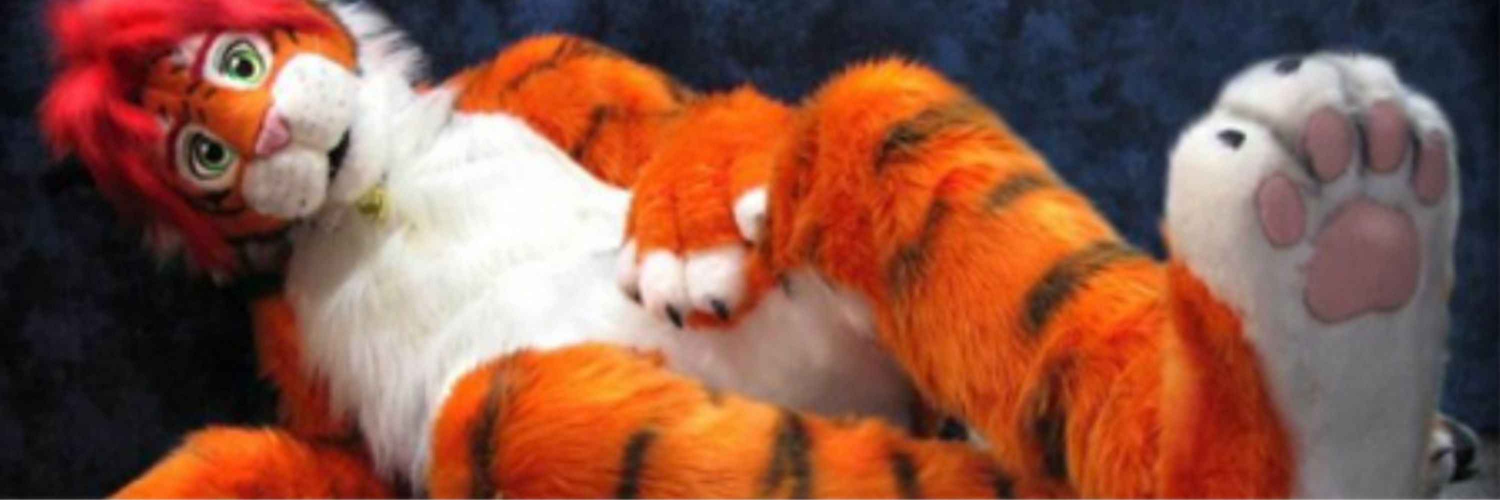ZEN tiger