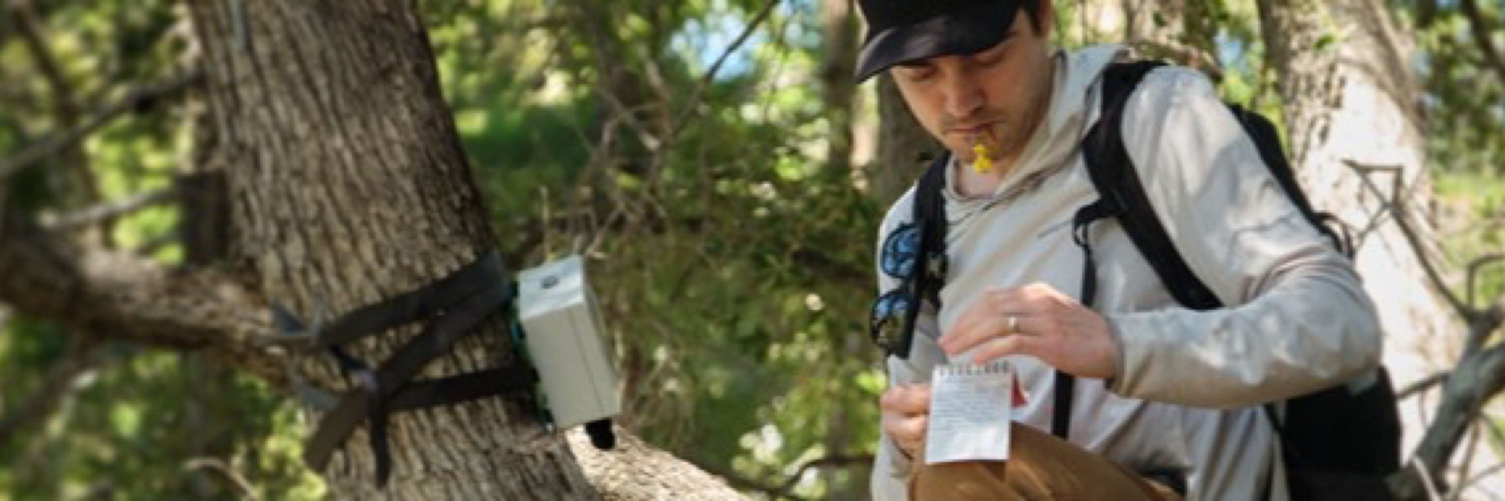 K. Lisa Yang Center for Conservation Bioacoustics