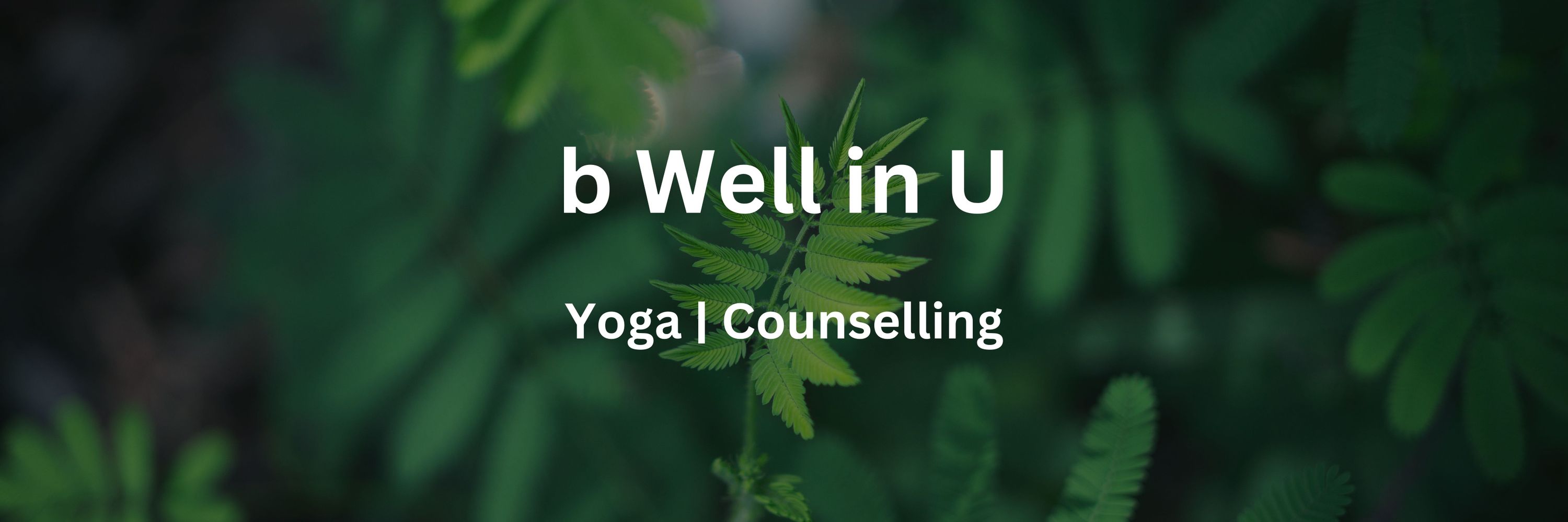 Craig - b Well in U