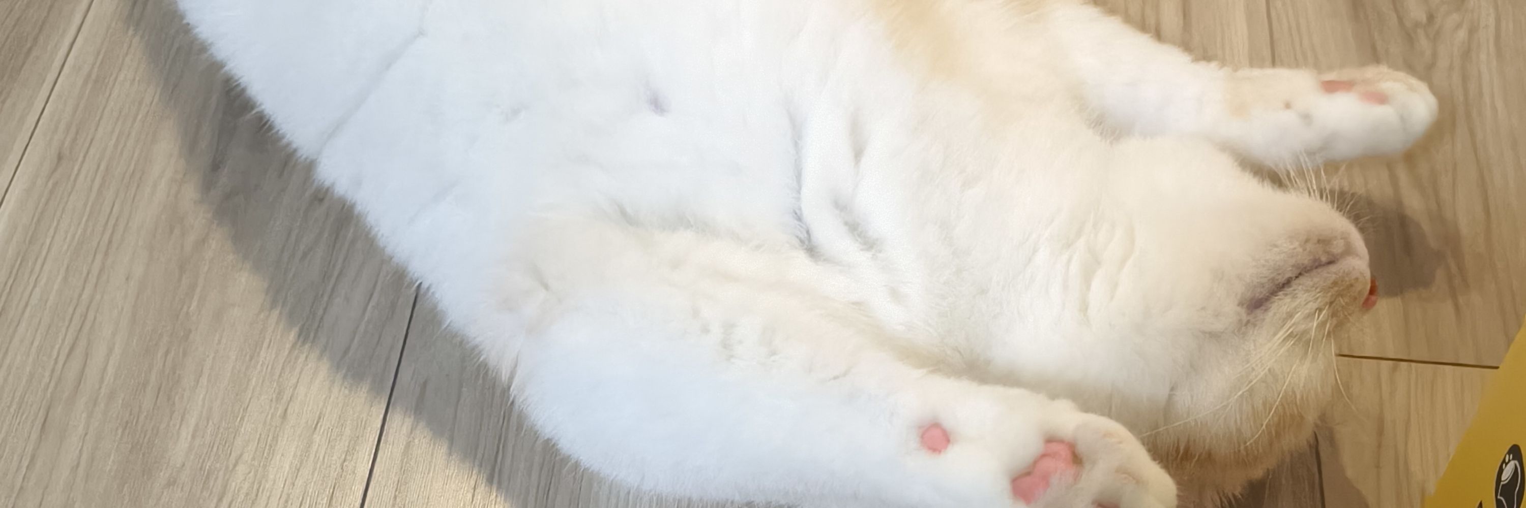 しめさば