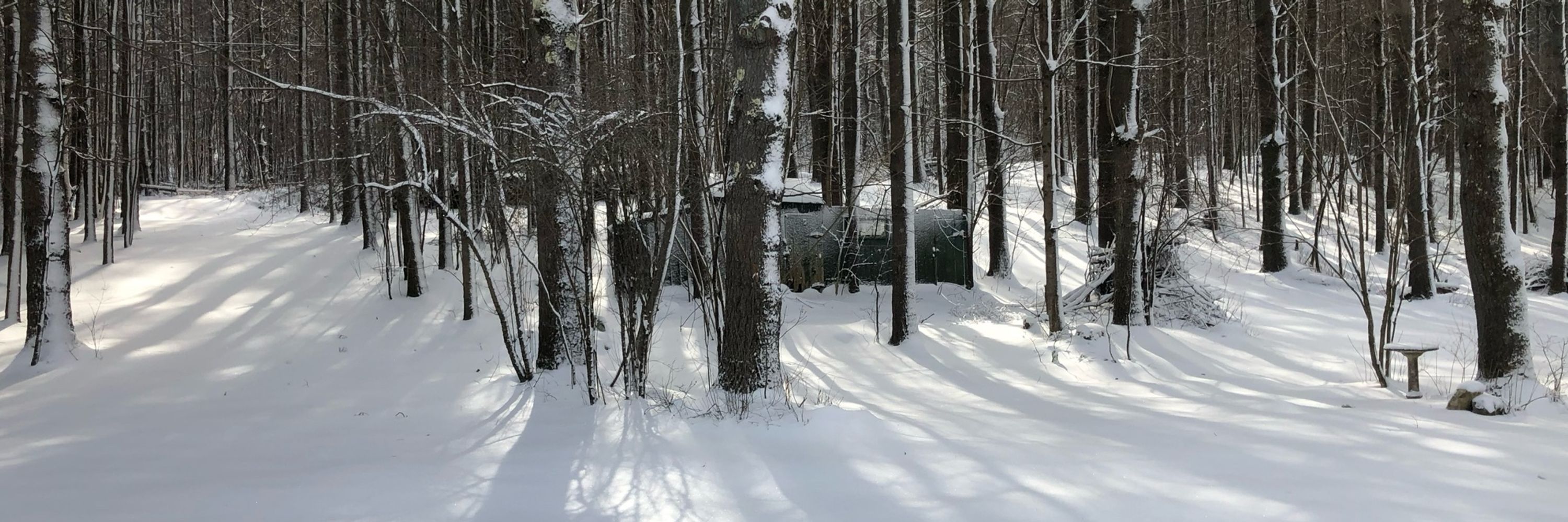 Vermont RPB