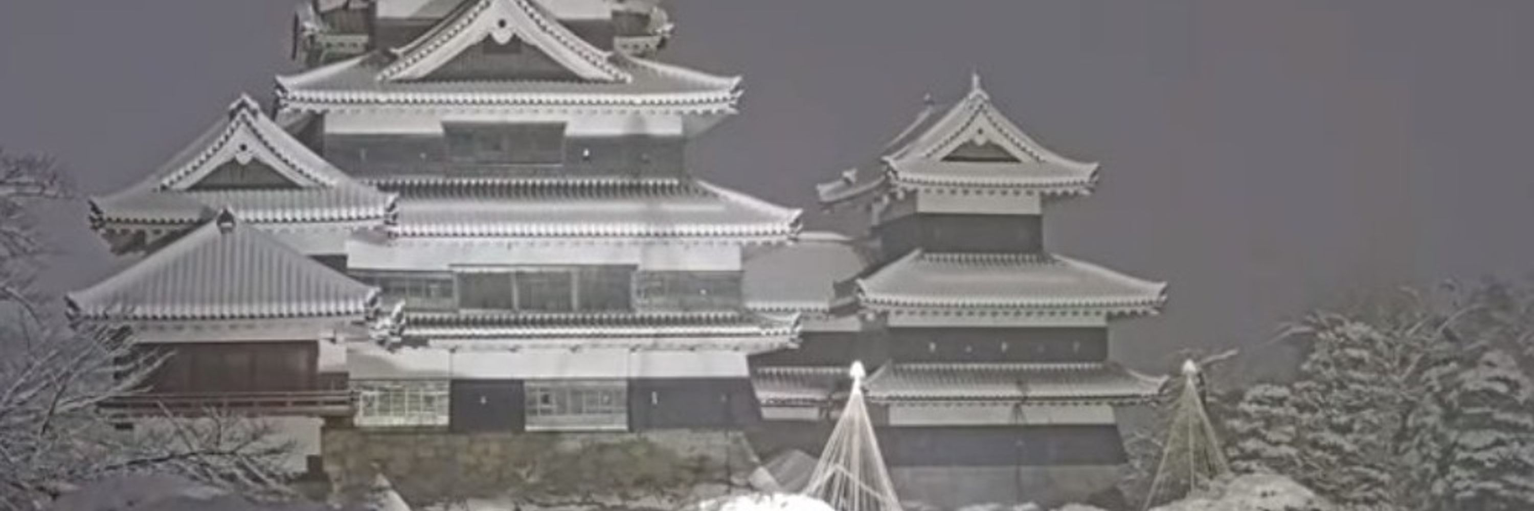 だんごバグ