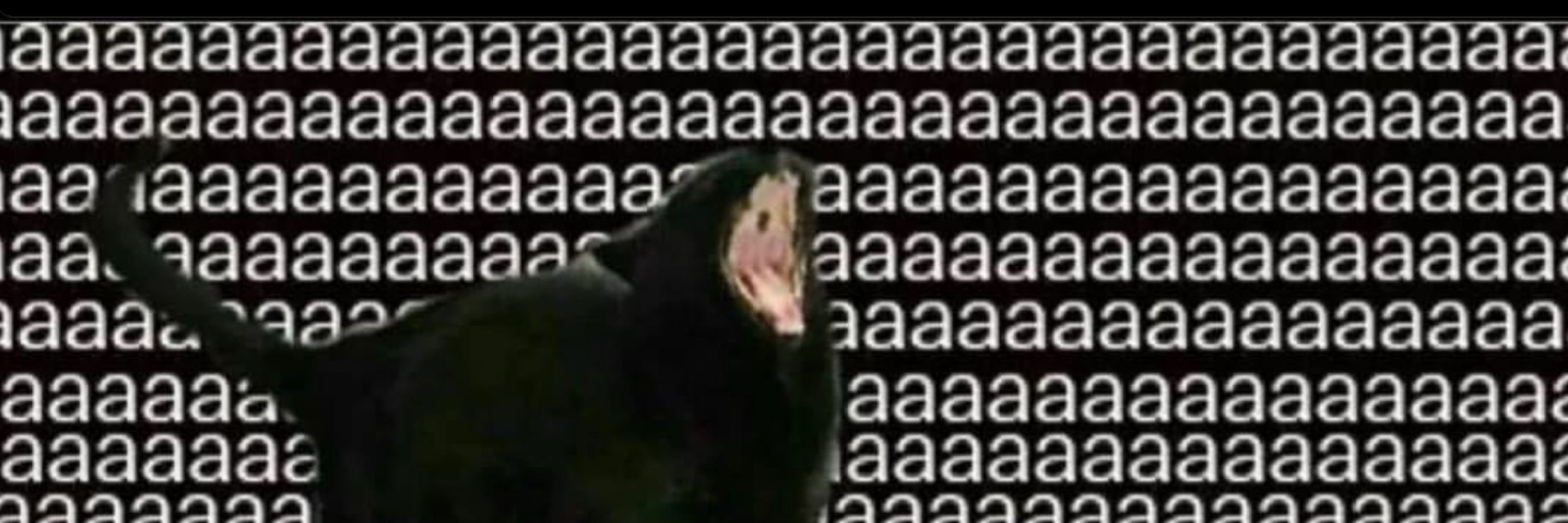 ros