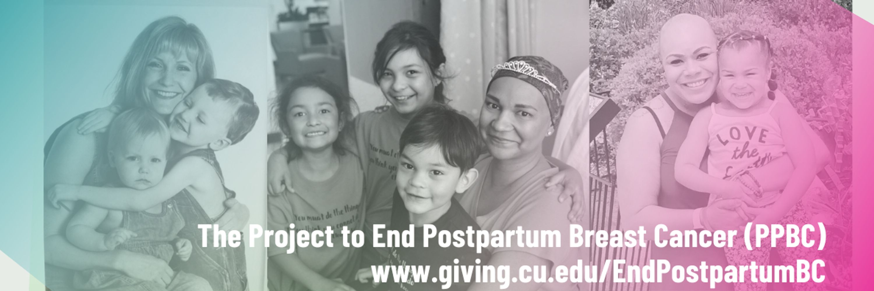 The Project to End Postpartum Breast Cancer (PPBC)