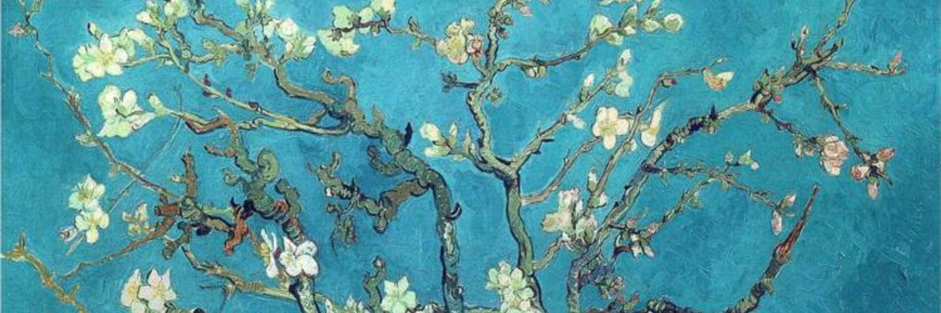 Elaine Sweatman