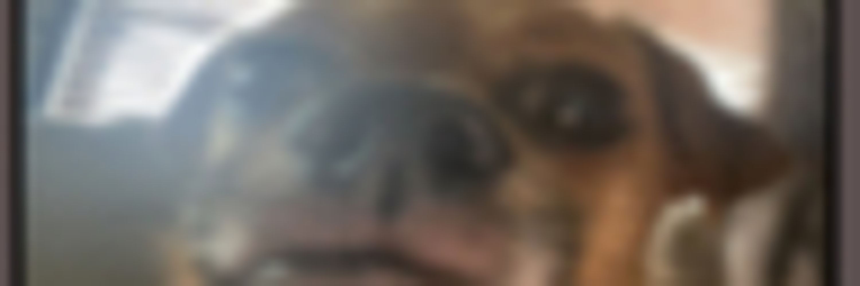 RainerZ
