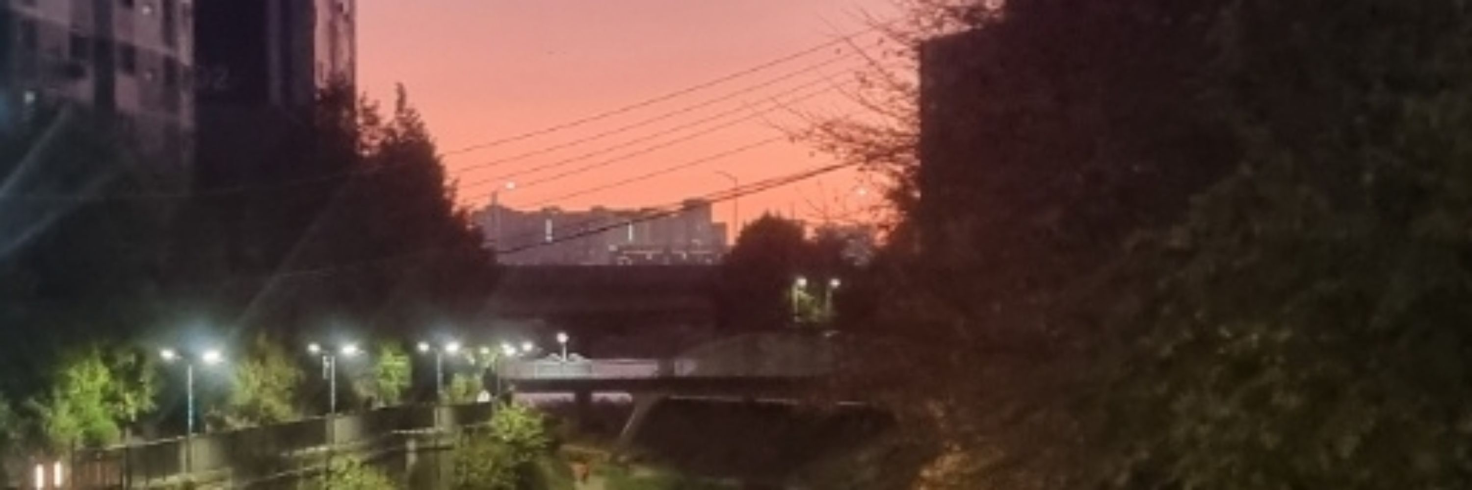 복복이 09