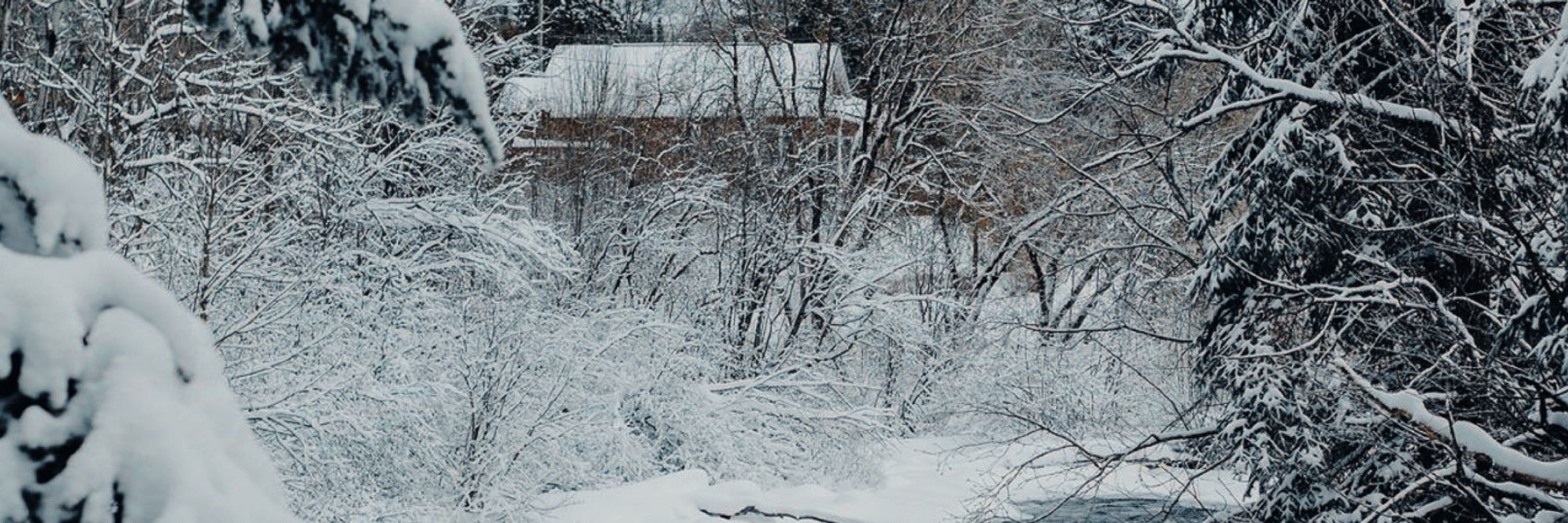 UberBlizzard