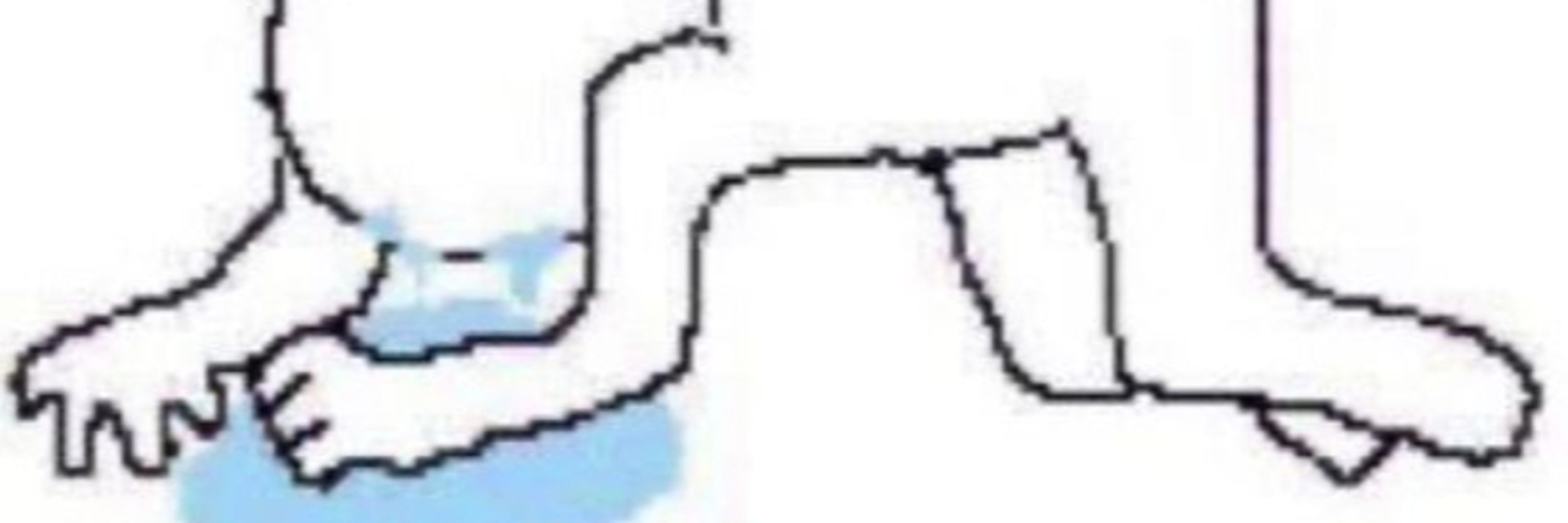 nie