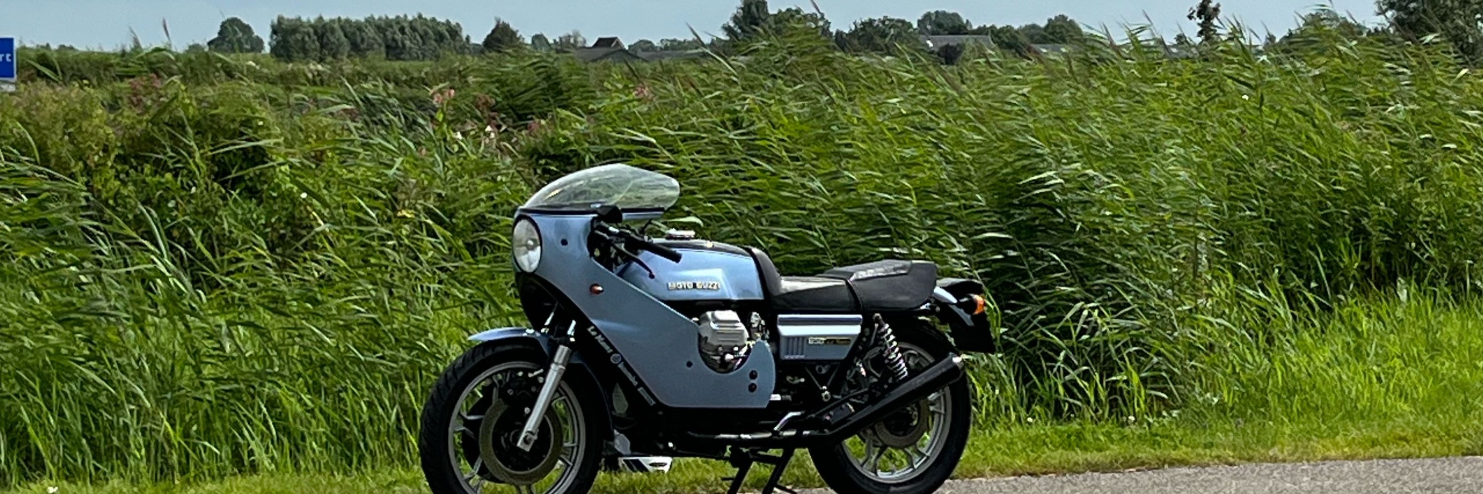 Woltoguzzi