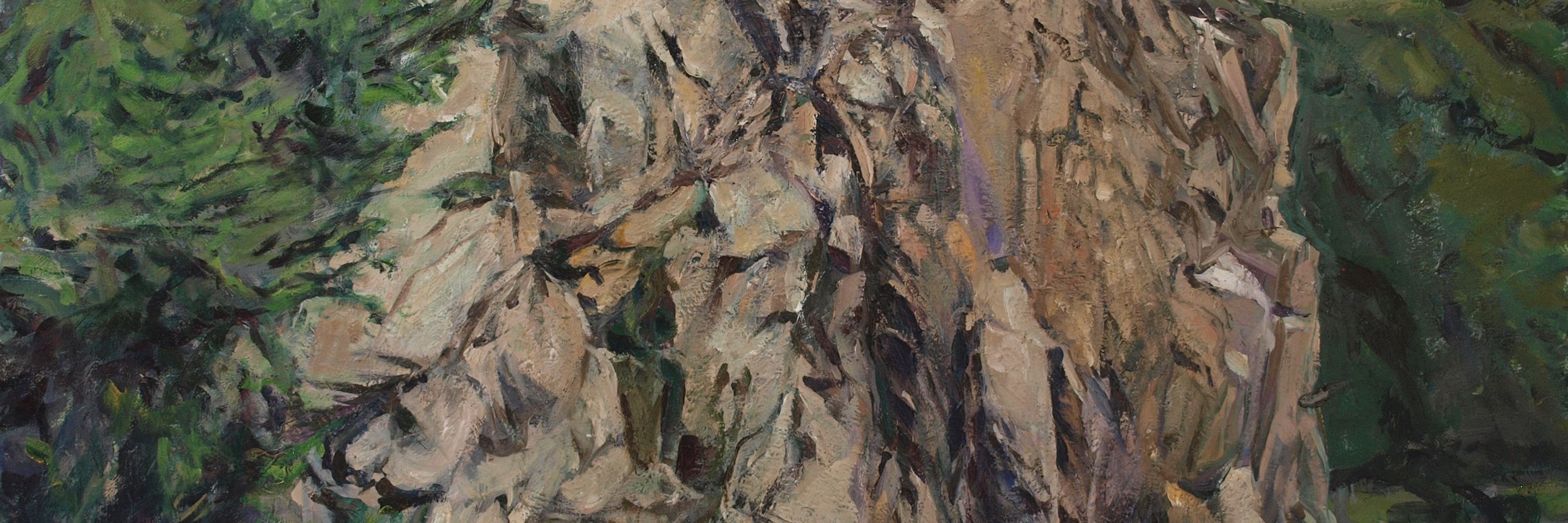 Martin-Jan van Santen
