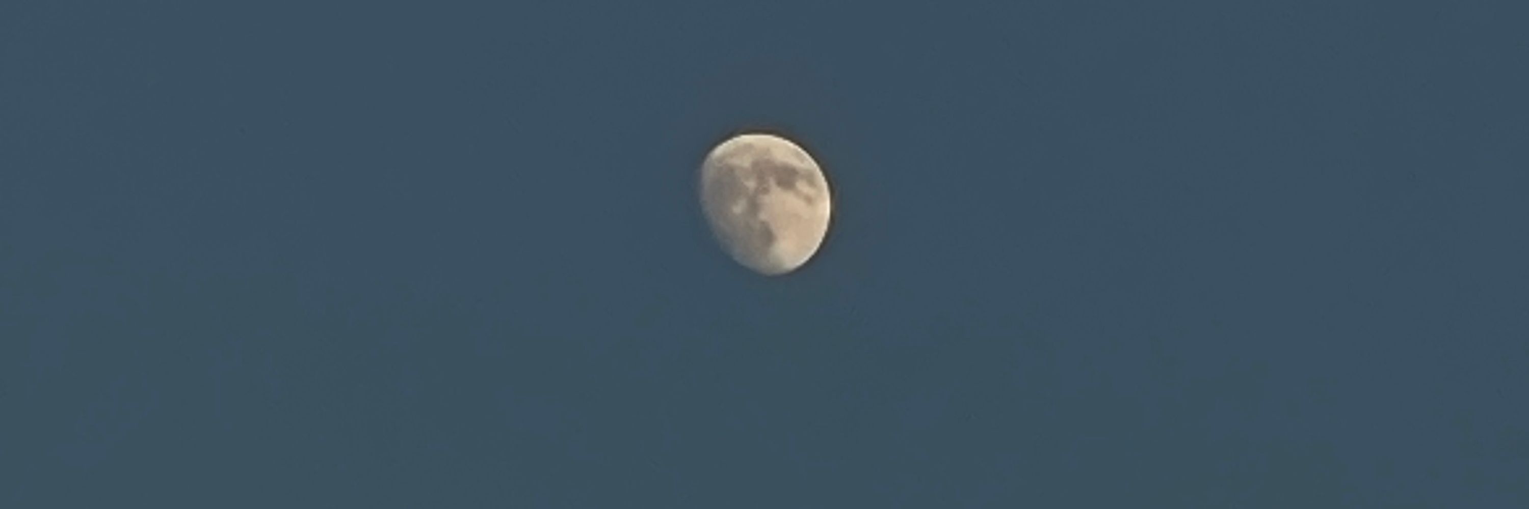 잊혀질