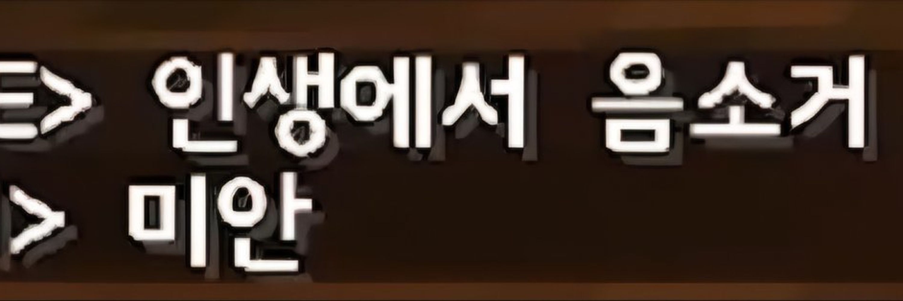 한소담