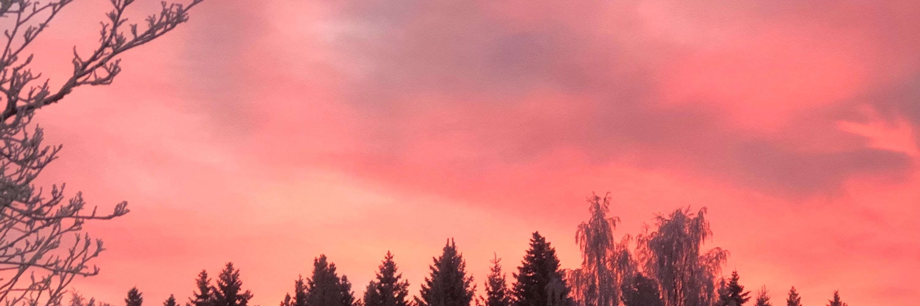 Jaana Määttä