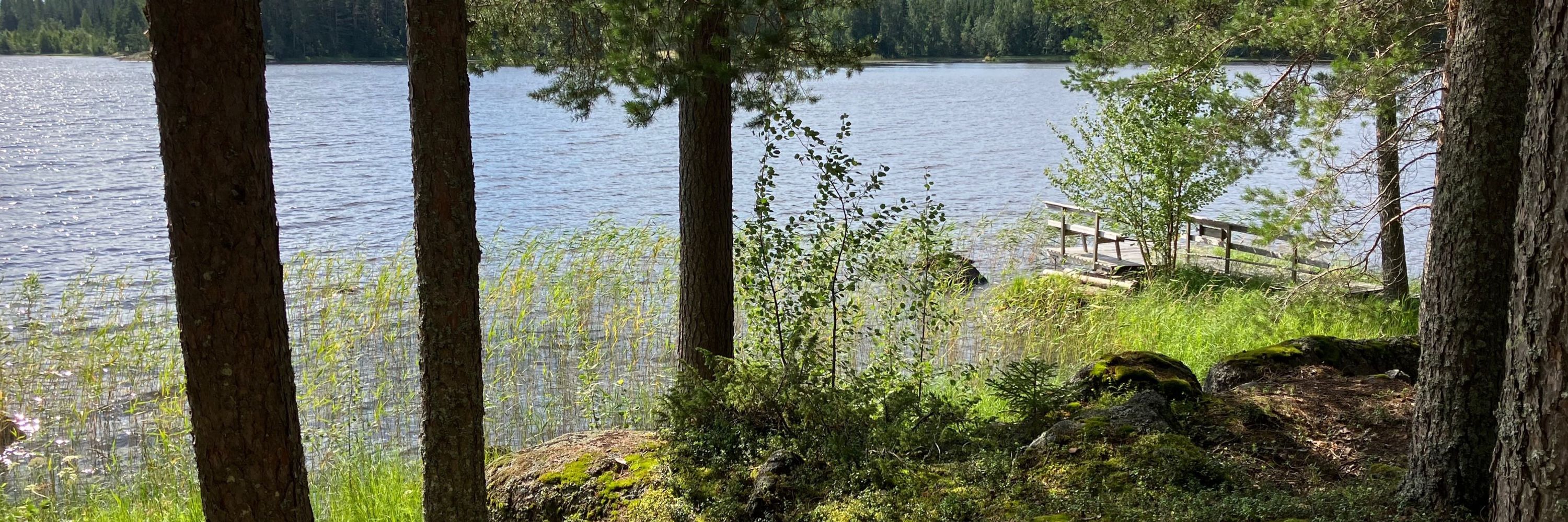 Rauno Hukkanen
