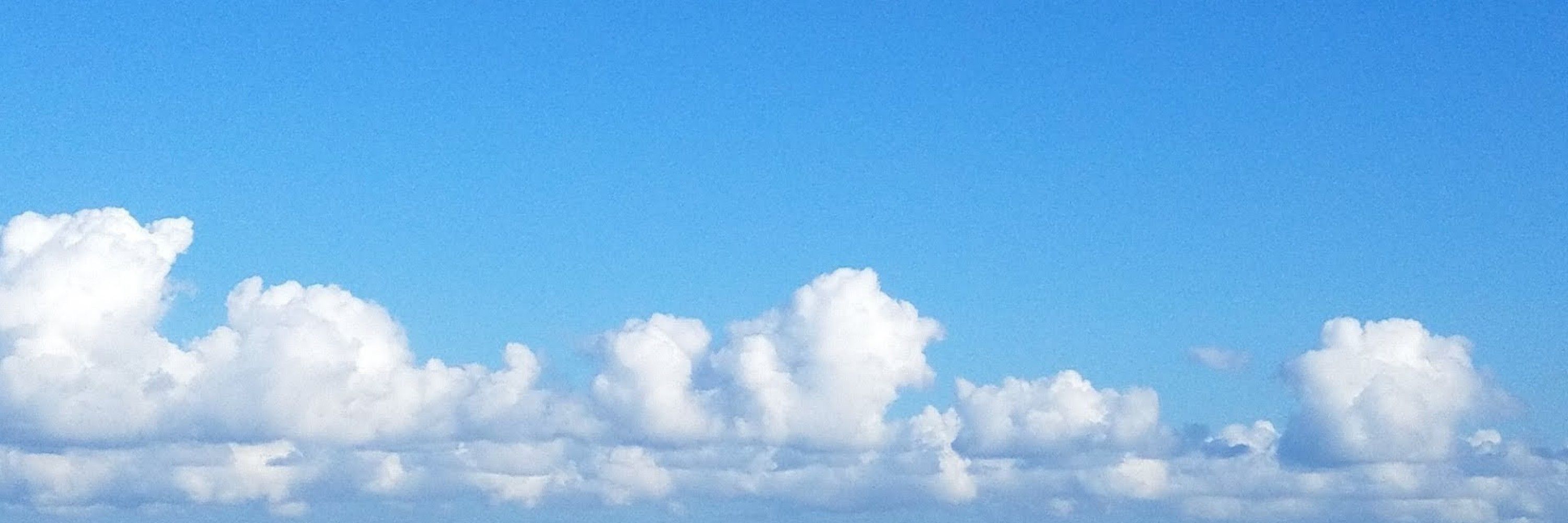 いときね そろ