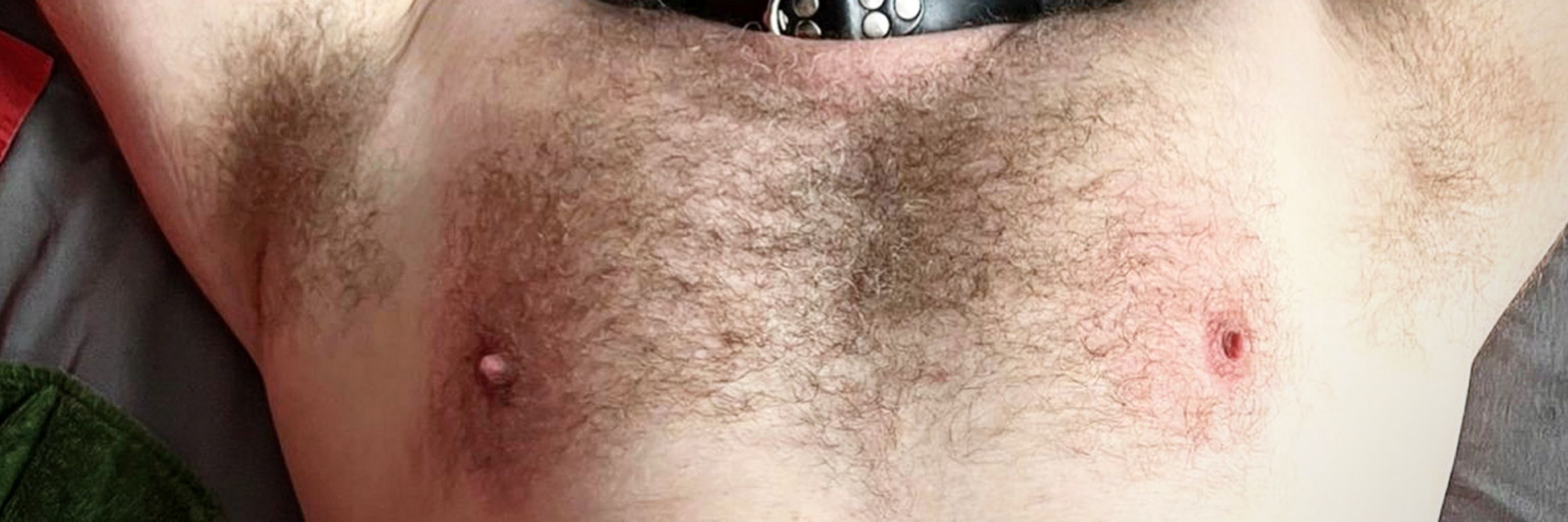 Rubbeargimpus
