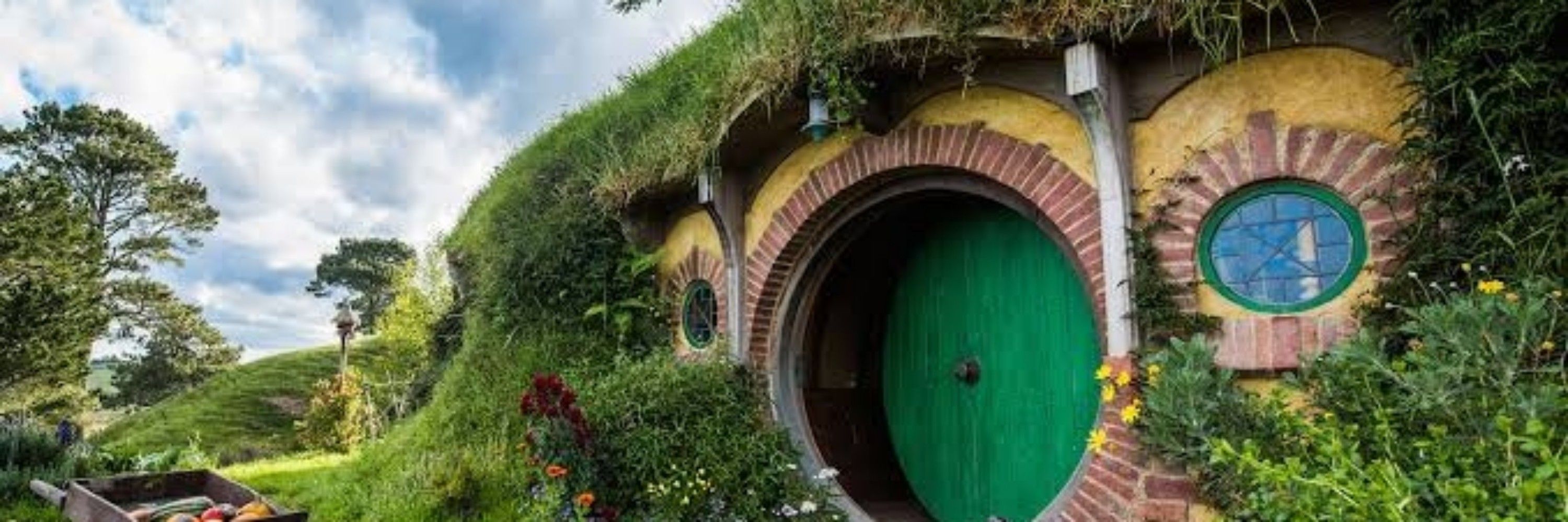 Frodo Concurseiro