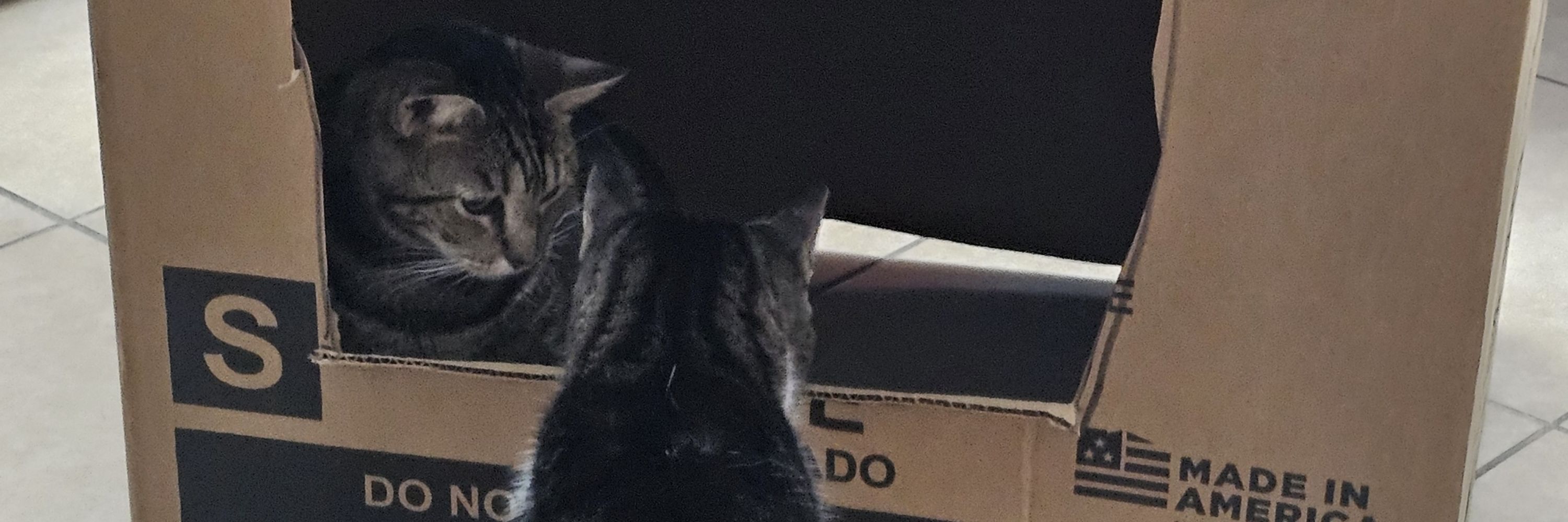 MGranzberg 🐱