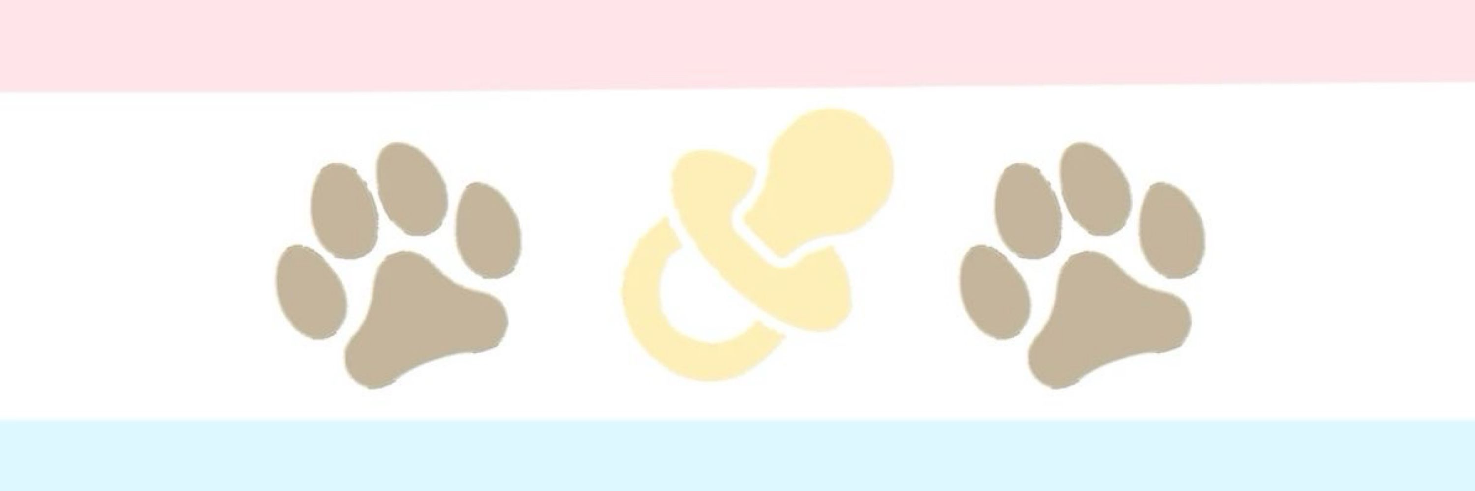 🍩DOG TOY🍼