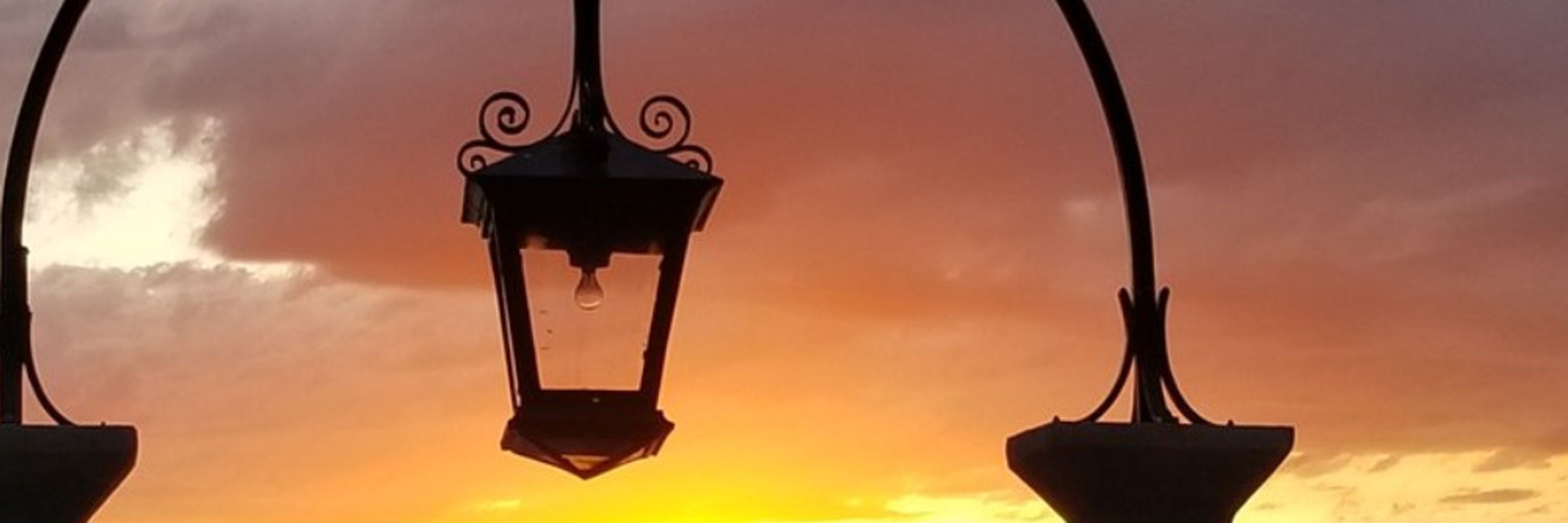 💗🦅🌤️