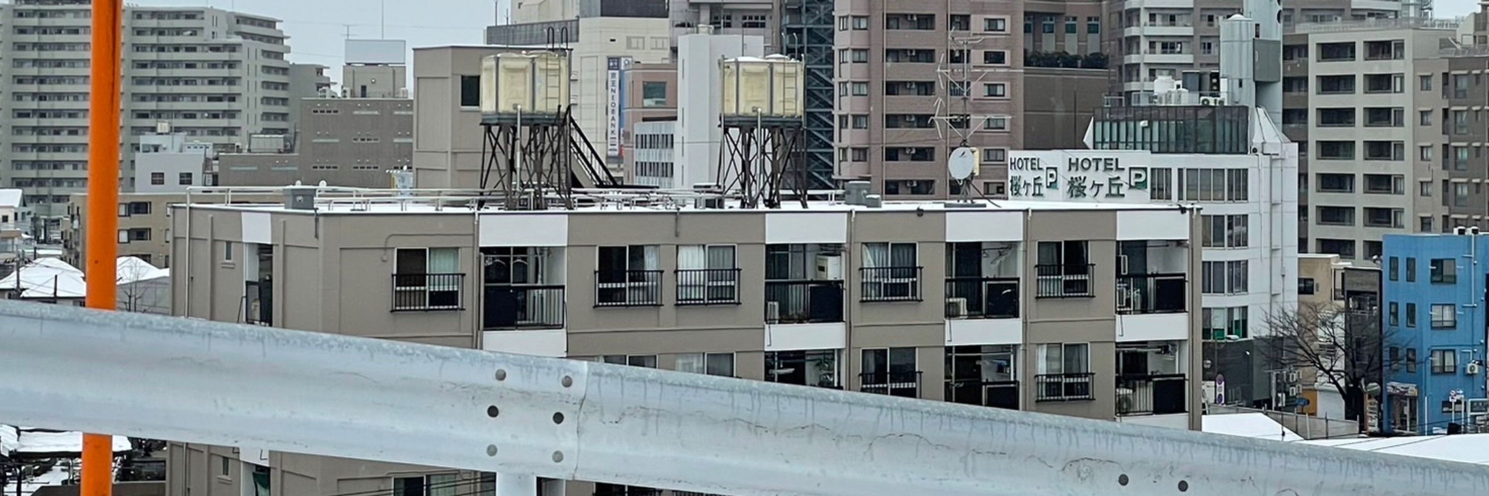 ハト