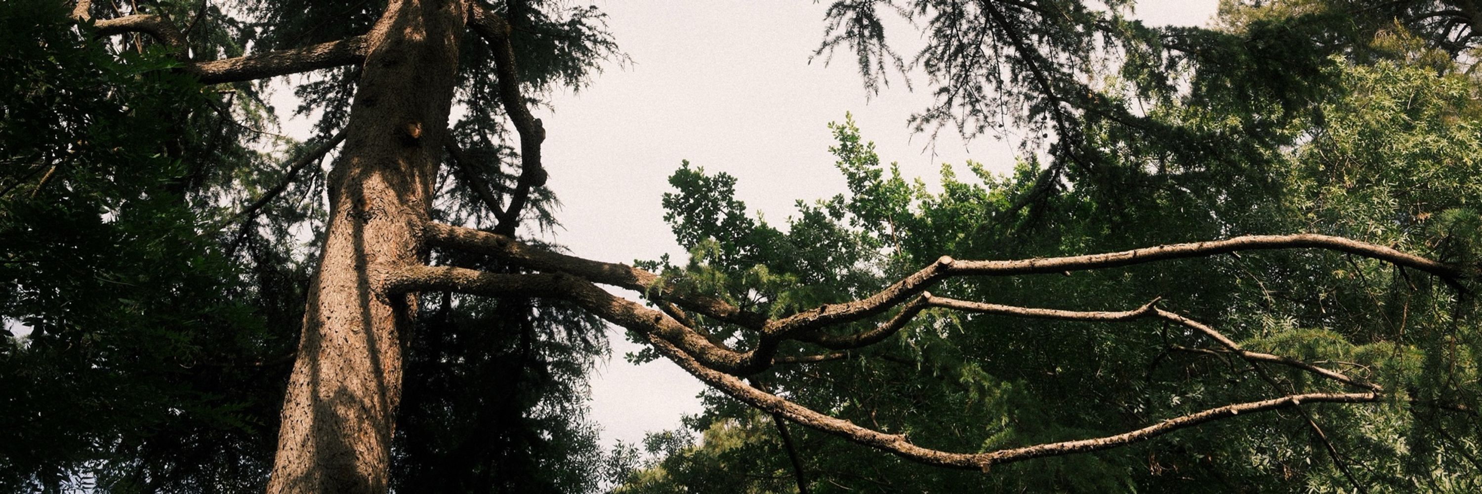 📸 Dani Varón
