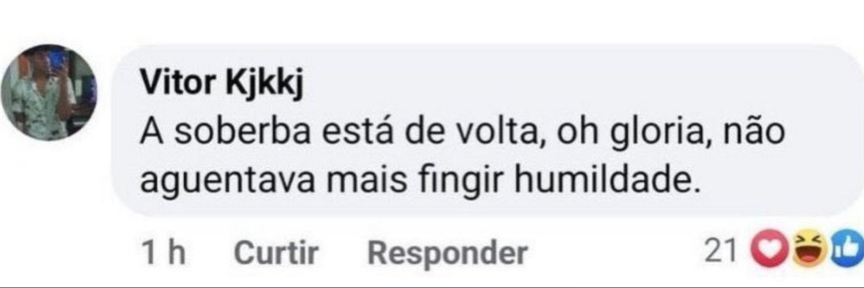 arlequina do palográfico