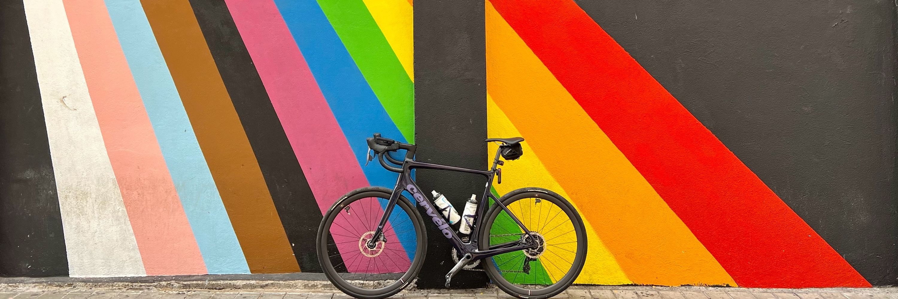 TheFlyingCyclist 🏳️‍⚧️