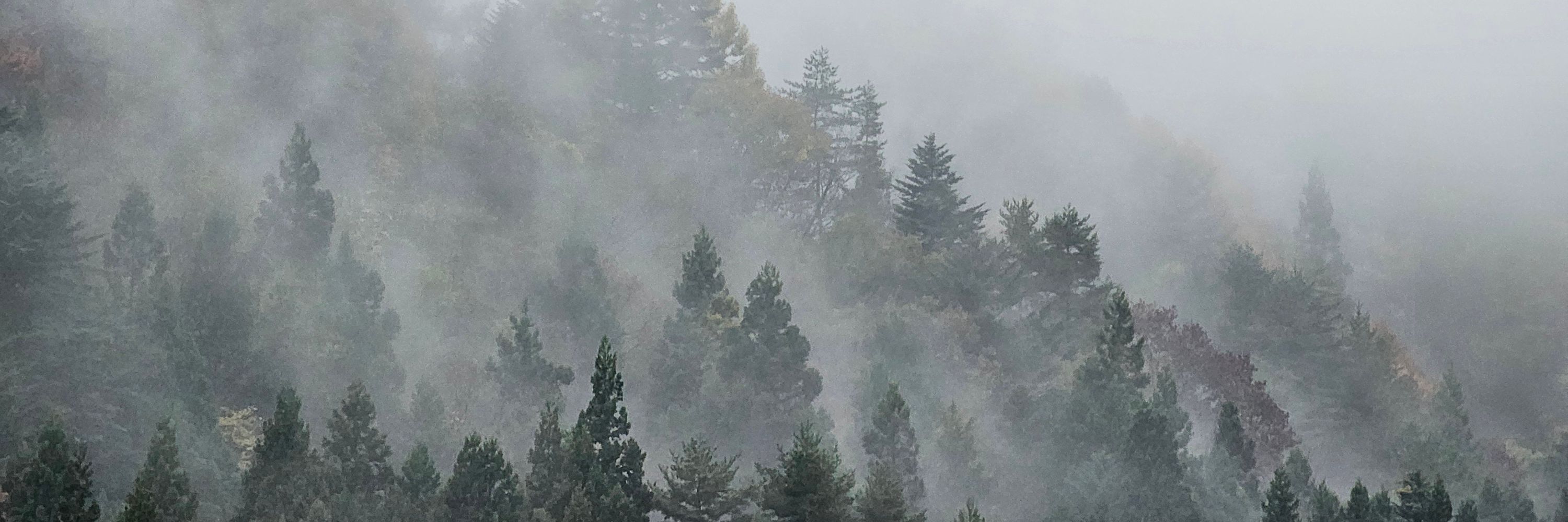 Dust of Reason