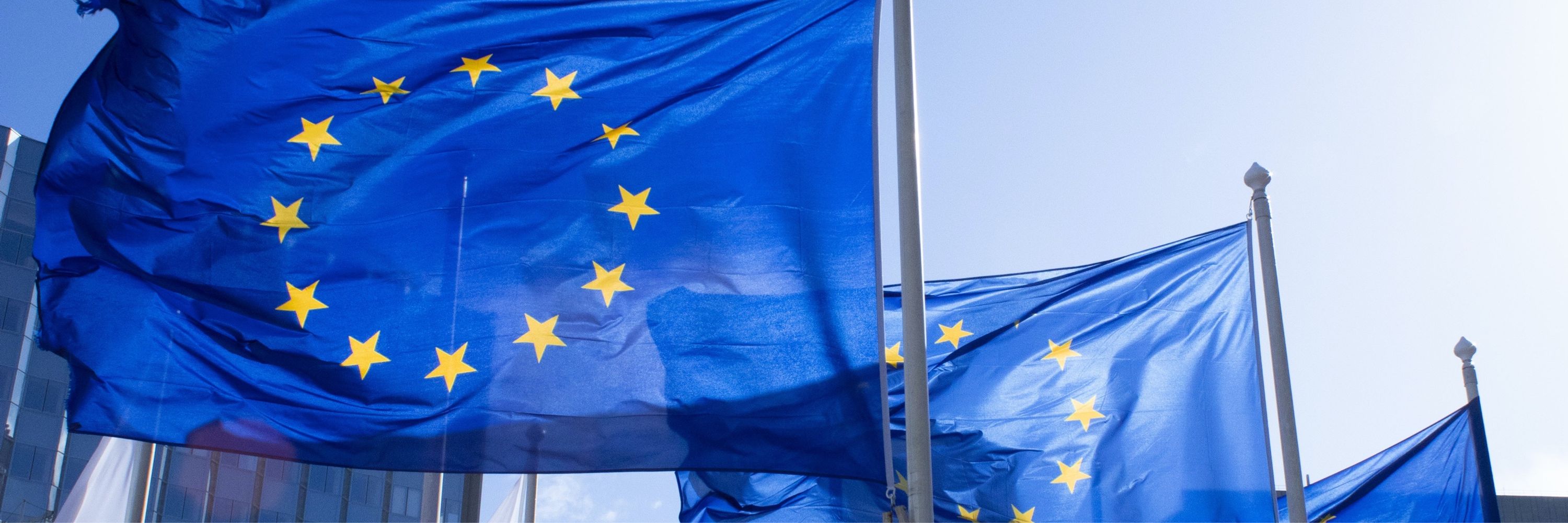 European ME Coalition (EMEC)