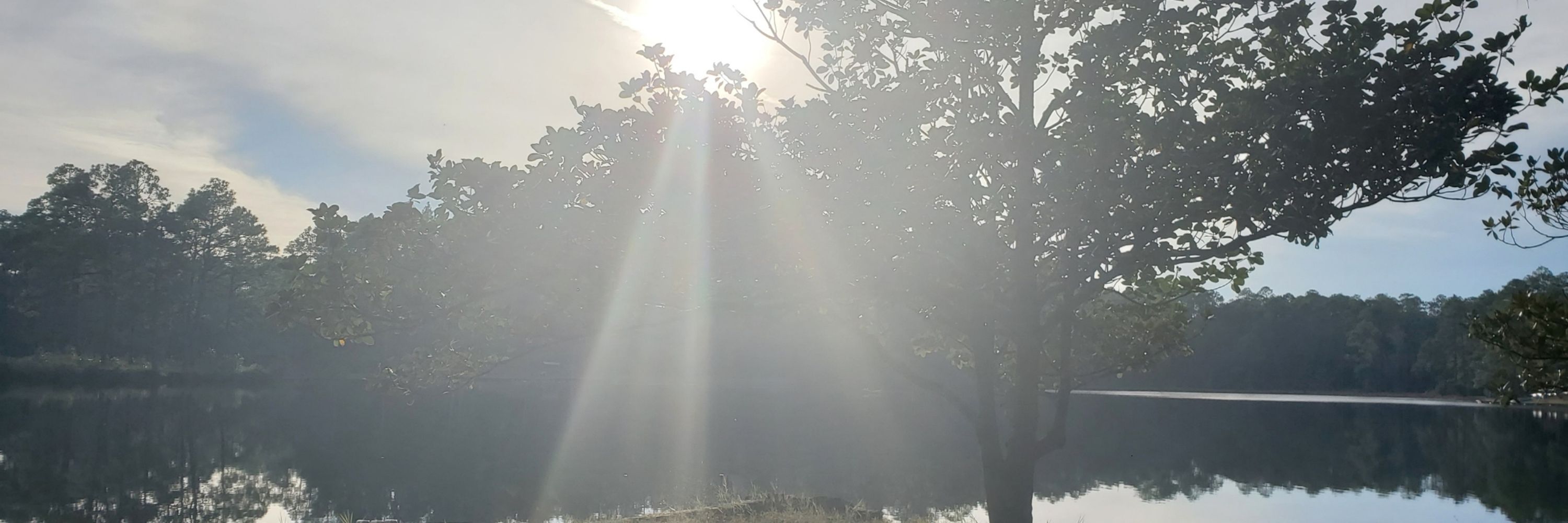 Flare