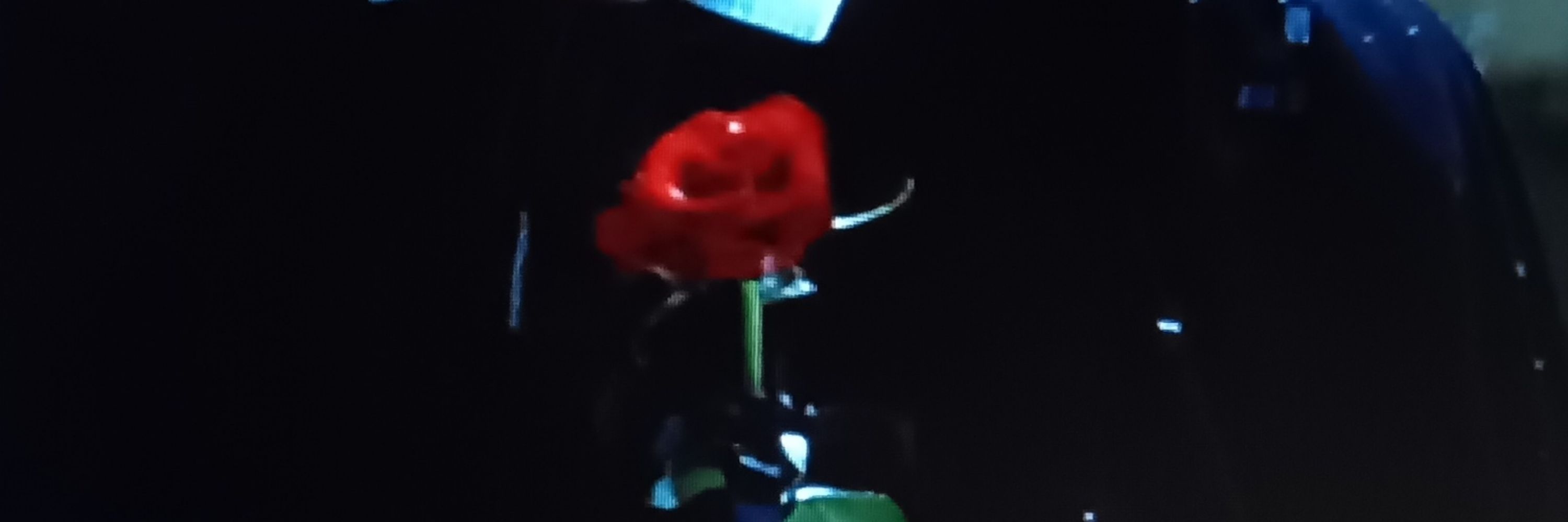 奏ライ