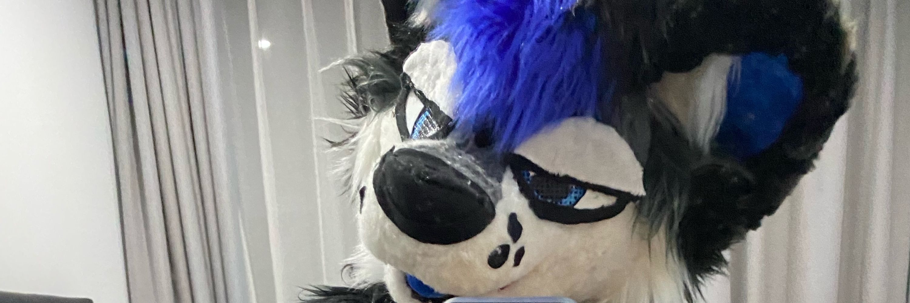 Ashfall Fox