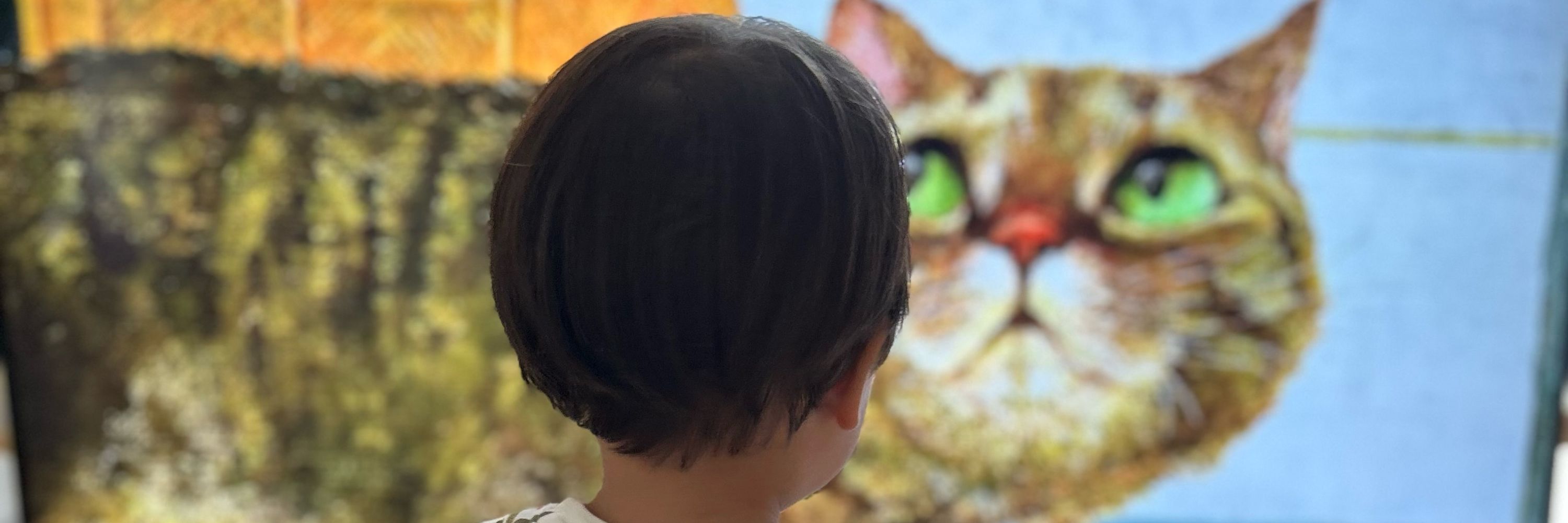 ゆき👦2y