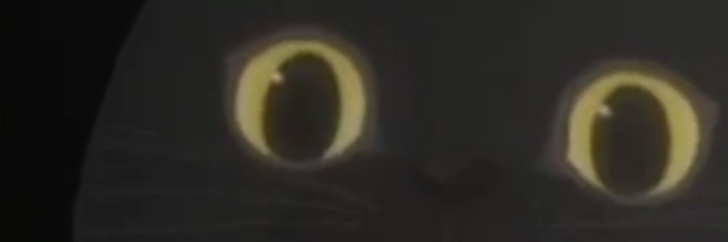 世界のJ