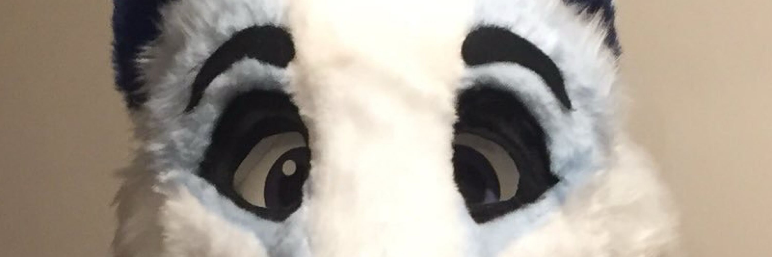 🦡 Jay Wolfe 🦡