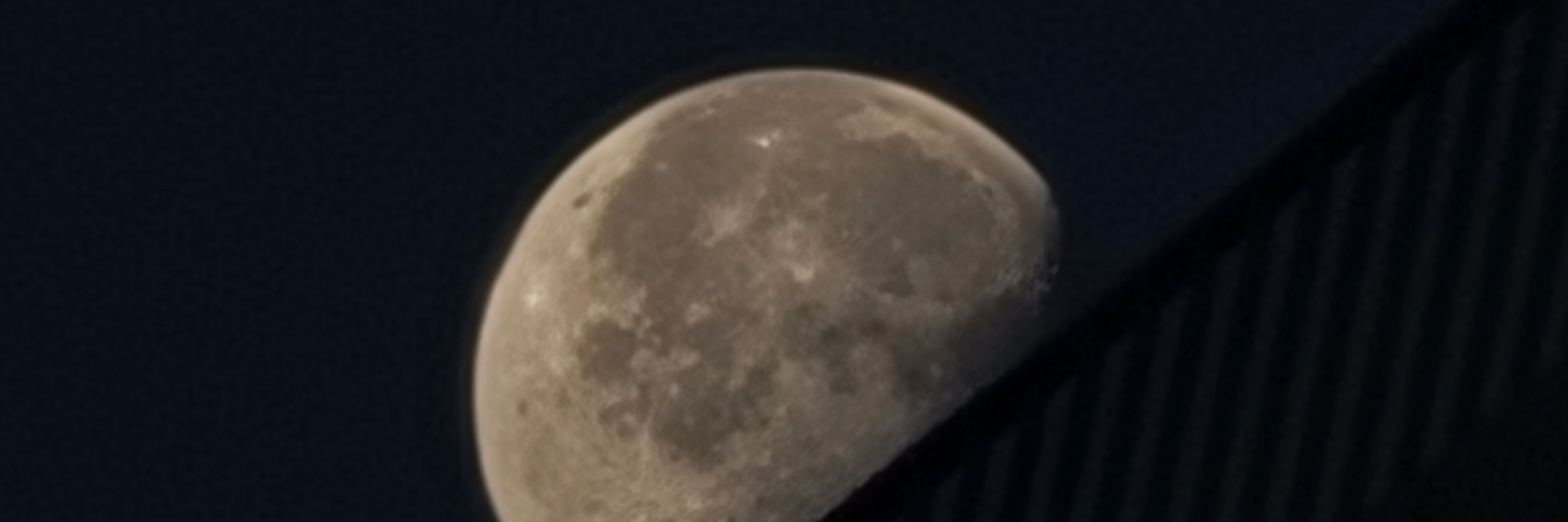 또짱